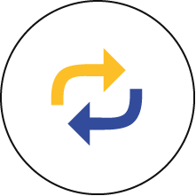 ROI Icon